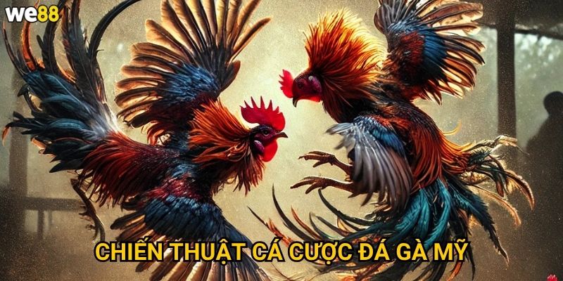 Chiến thuật cá cược đá gà Mỹ