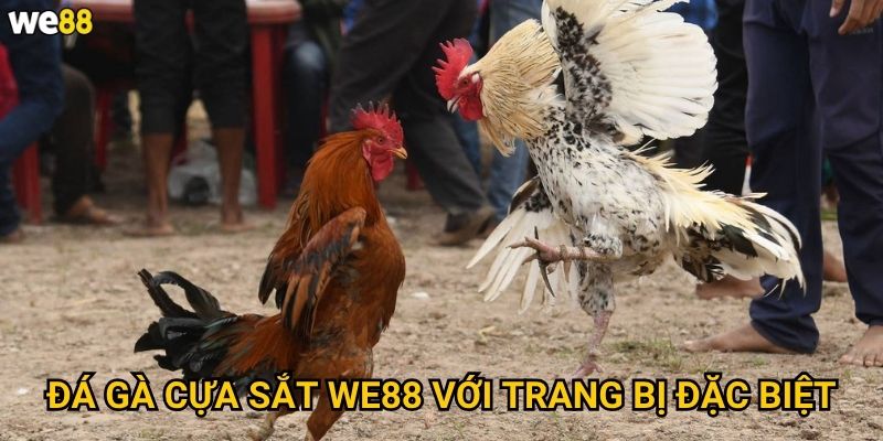 Đá Gà Cựa Sắt We88 với trang bị đặc biệt