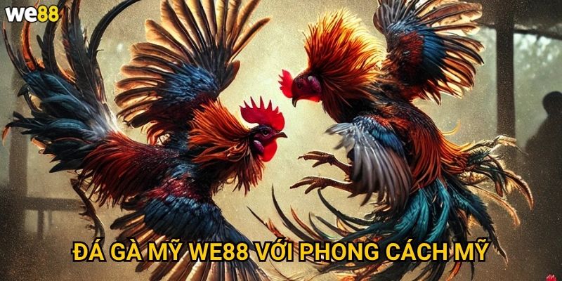 Đá gà mỹ We88 với phong cách Mỹ