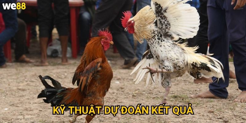 Kỹ thuật dự đoán kết quả